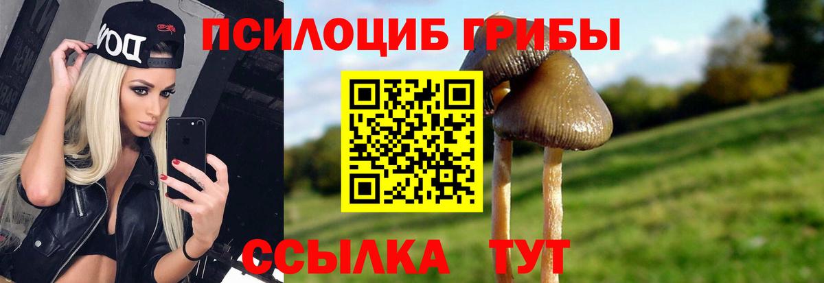 Галлюциногенные грибы MAGIC MUSHROOMS  Вход с VPN  Луховицы 